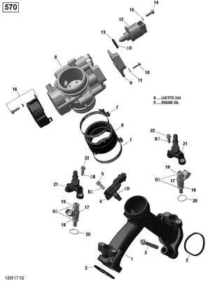 01- Rotax - Air Intake Manifold And Throttle Body - 570 Efi Schematic