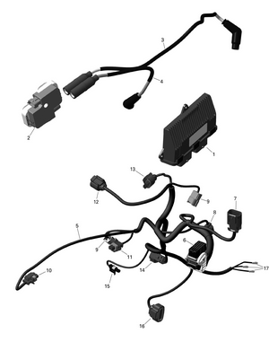 01- Rotax - Engine Harness And Electronic Module Schematic