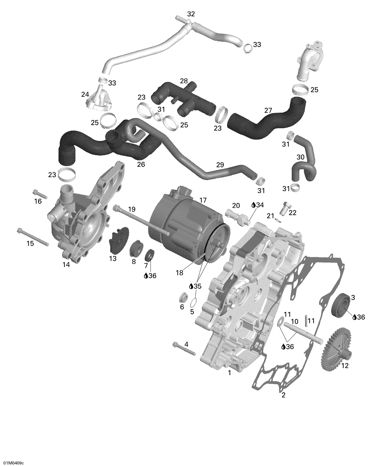 01- Water Pump, Alternator, Ignition Cover