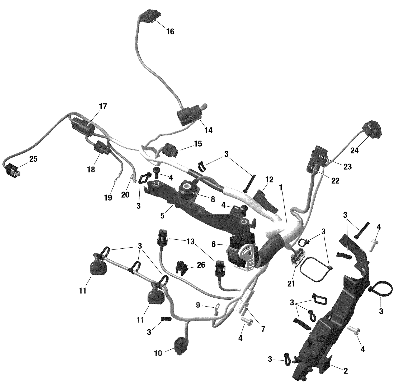 01- Rotax - Engine Harness - Turbo