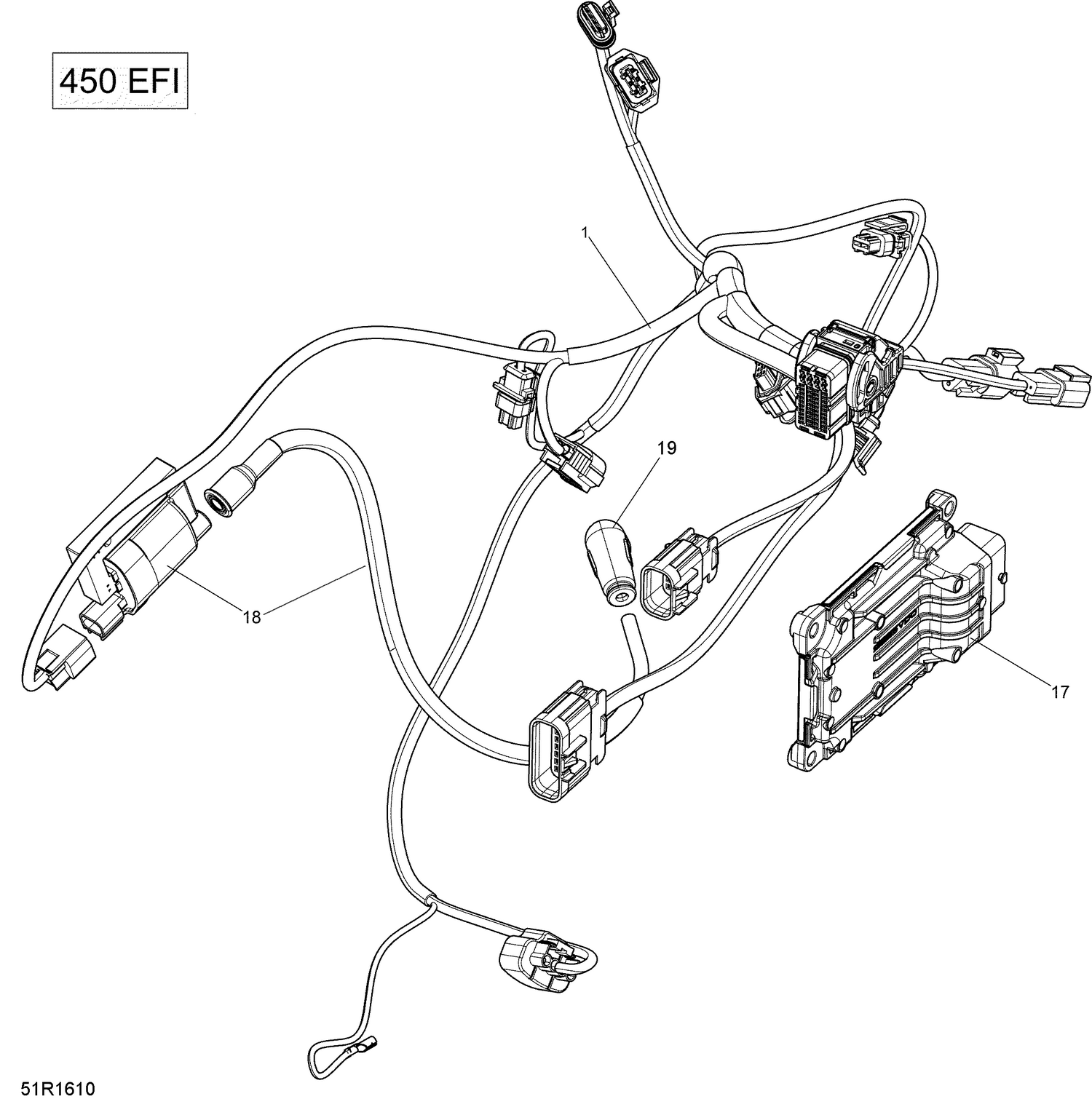 01- ROTAX - Engine Harness And Electronic Module