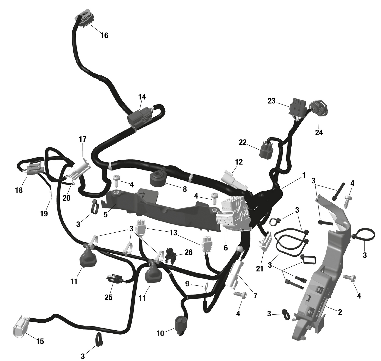 01- ROTAX - Engine Harness And Electronic Module - NA