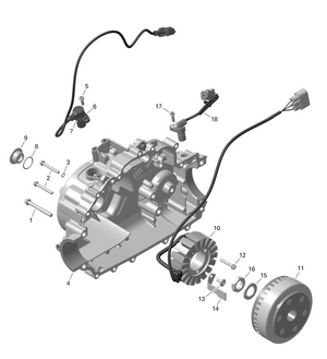 01- Rotax - Magneto And Electric Starter Schematic