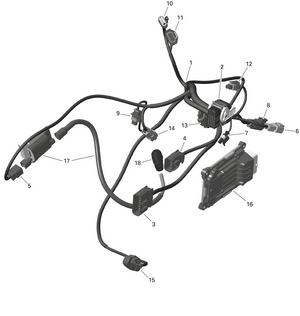 01- Rotax - Engine Harness And Electronic Module Schematic