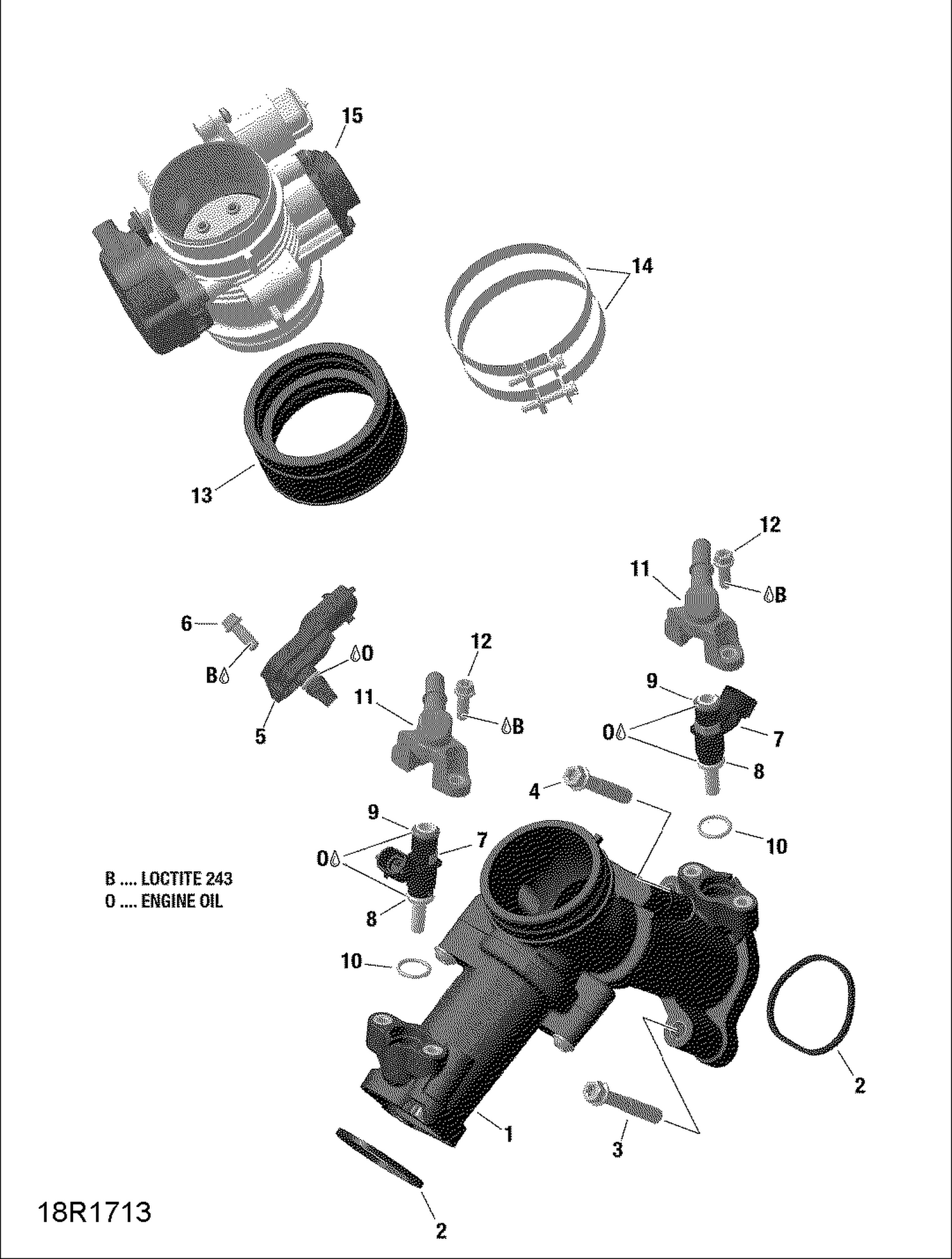 01- ROTAX - Air Intake Manifold and Throttle Body