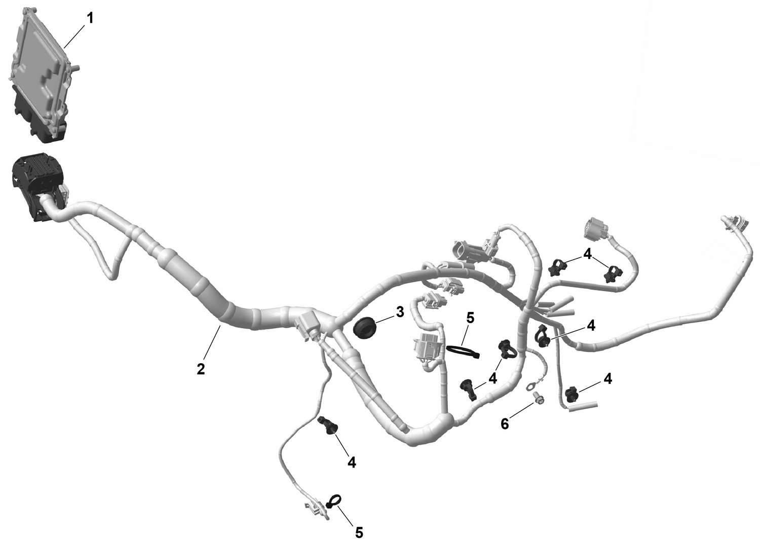 01- ROTAX - Engine Harness And Electronic Module