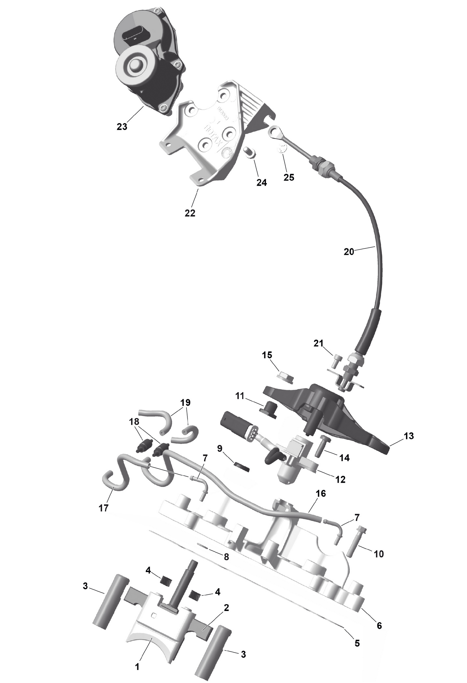 01- ROTAX - RAVE Valve