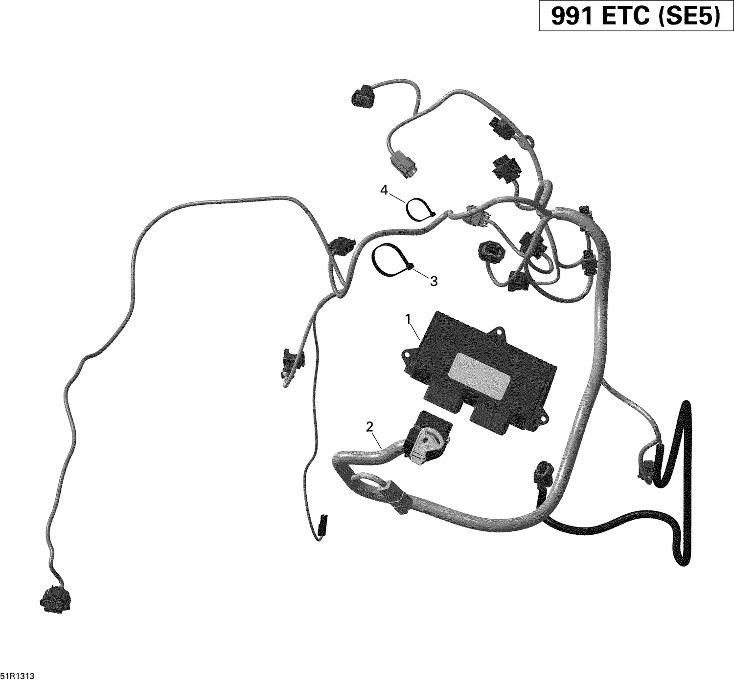 10- Engine Harness And Electronic Module