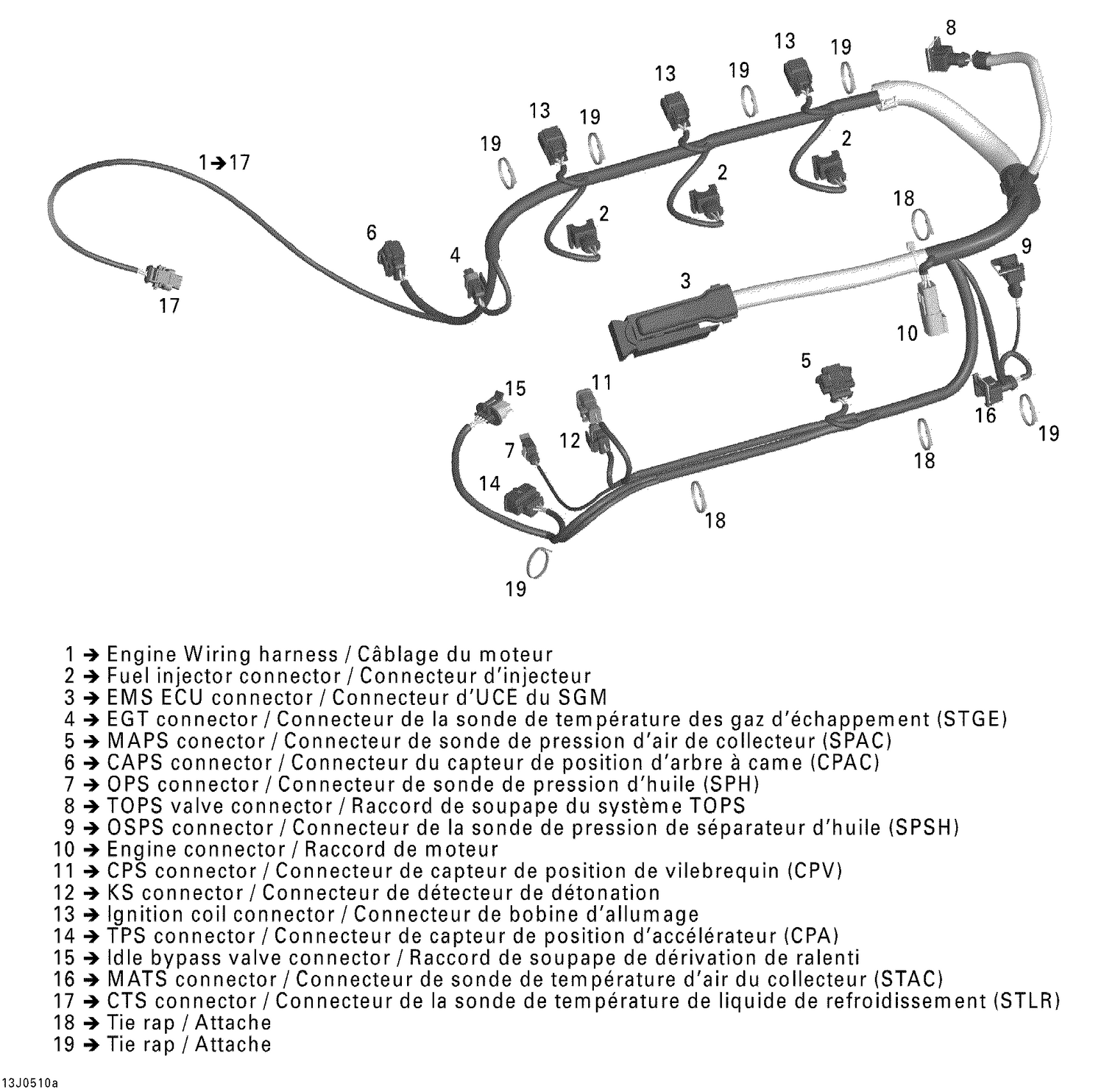 10- Engine Harness Rotax