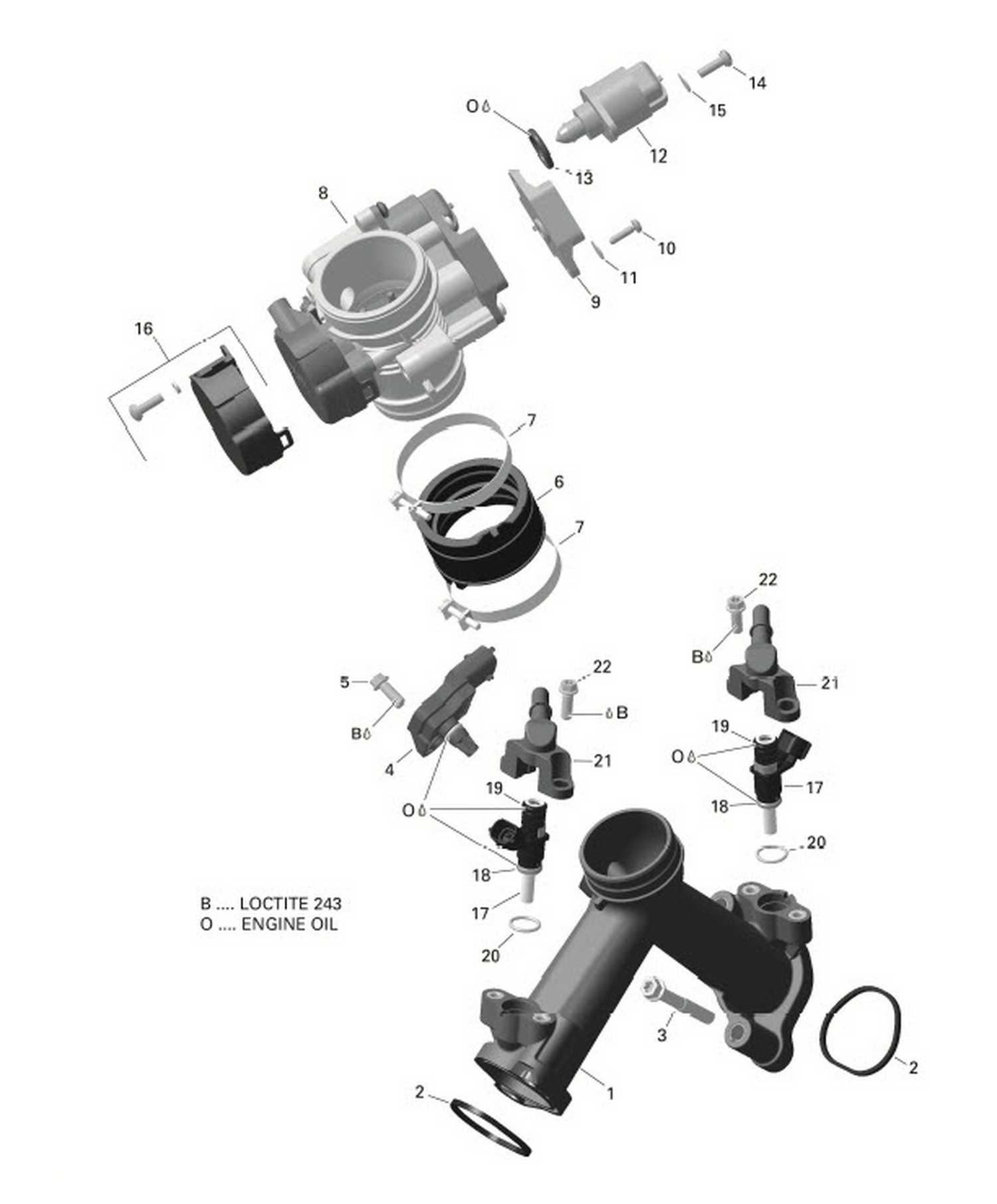 01- ROTAX - Air Intake Manifold And Throttle Body