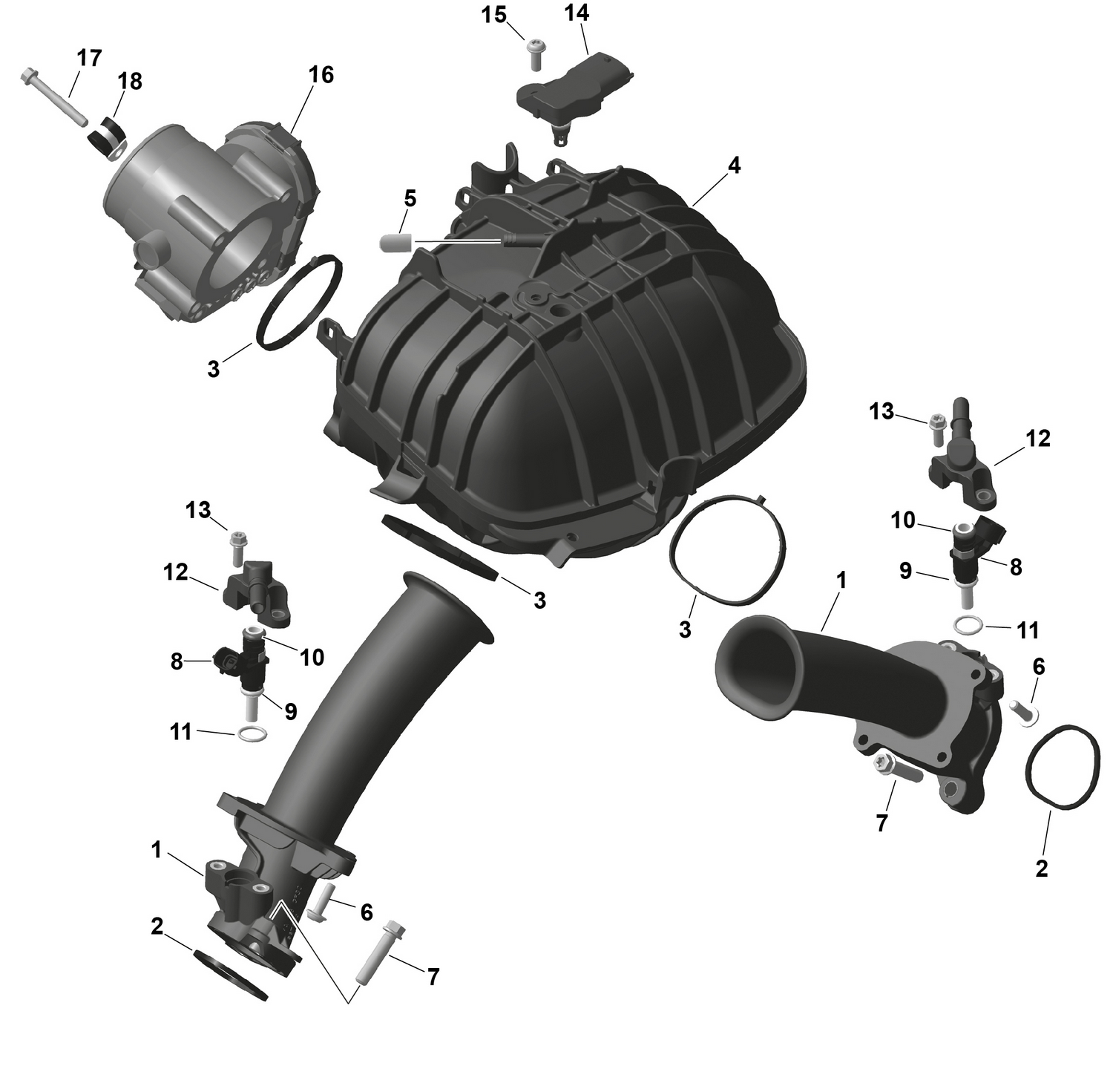 01- ROTAX - Air Intake Manifold And Throttle Body