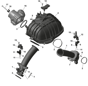 01- Rotax - Air Intake Manifold And Throttle Body Schematic