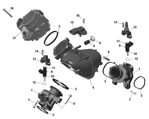 01- Rotax - Air Intake Manifold And Throttle Body Schematic