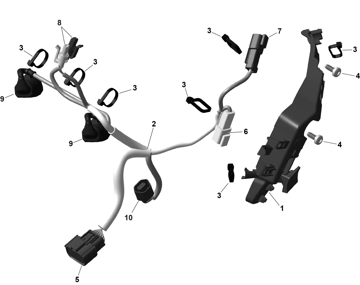 01- ROTAX - Engine Harness And Electronic Module