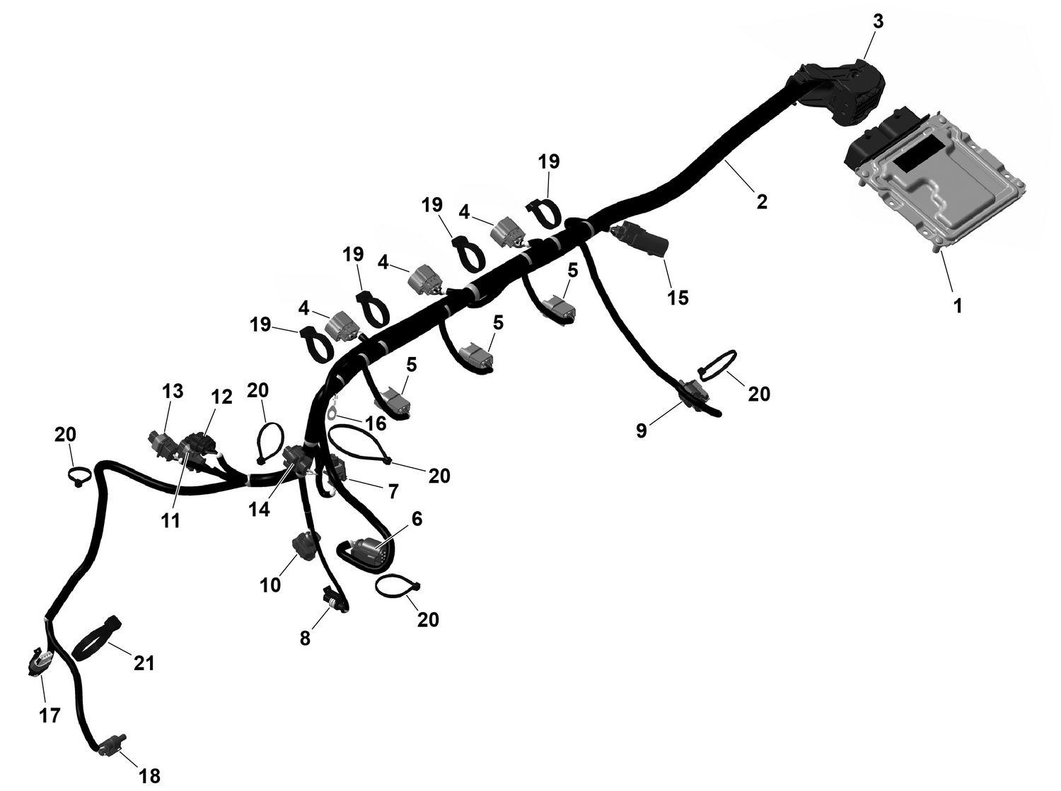 01- ROTAX - Engine Harness And Electronic Module
