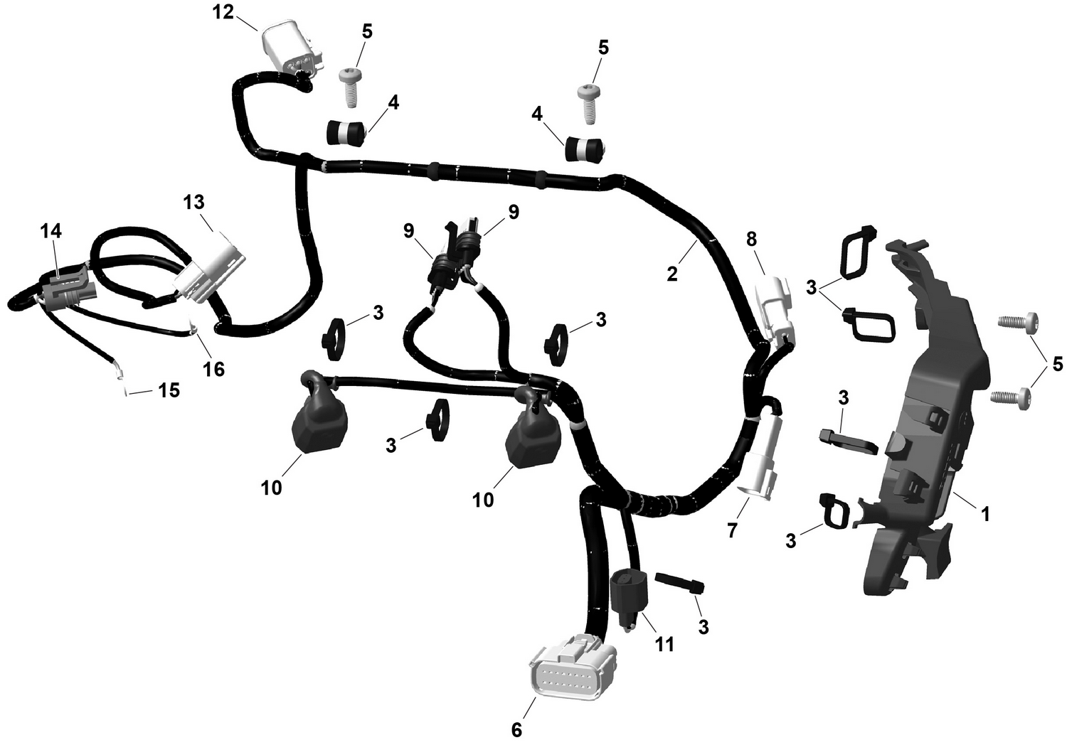 01- ROTAX - Engine Harness And Electronic Module