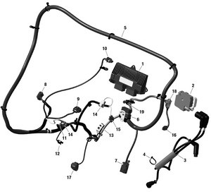 01- Rotax - Engine Harness And Electronic Module Maverick Schematic