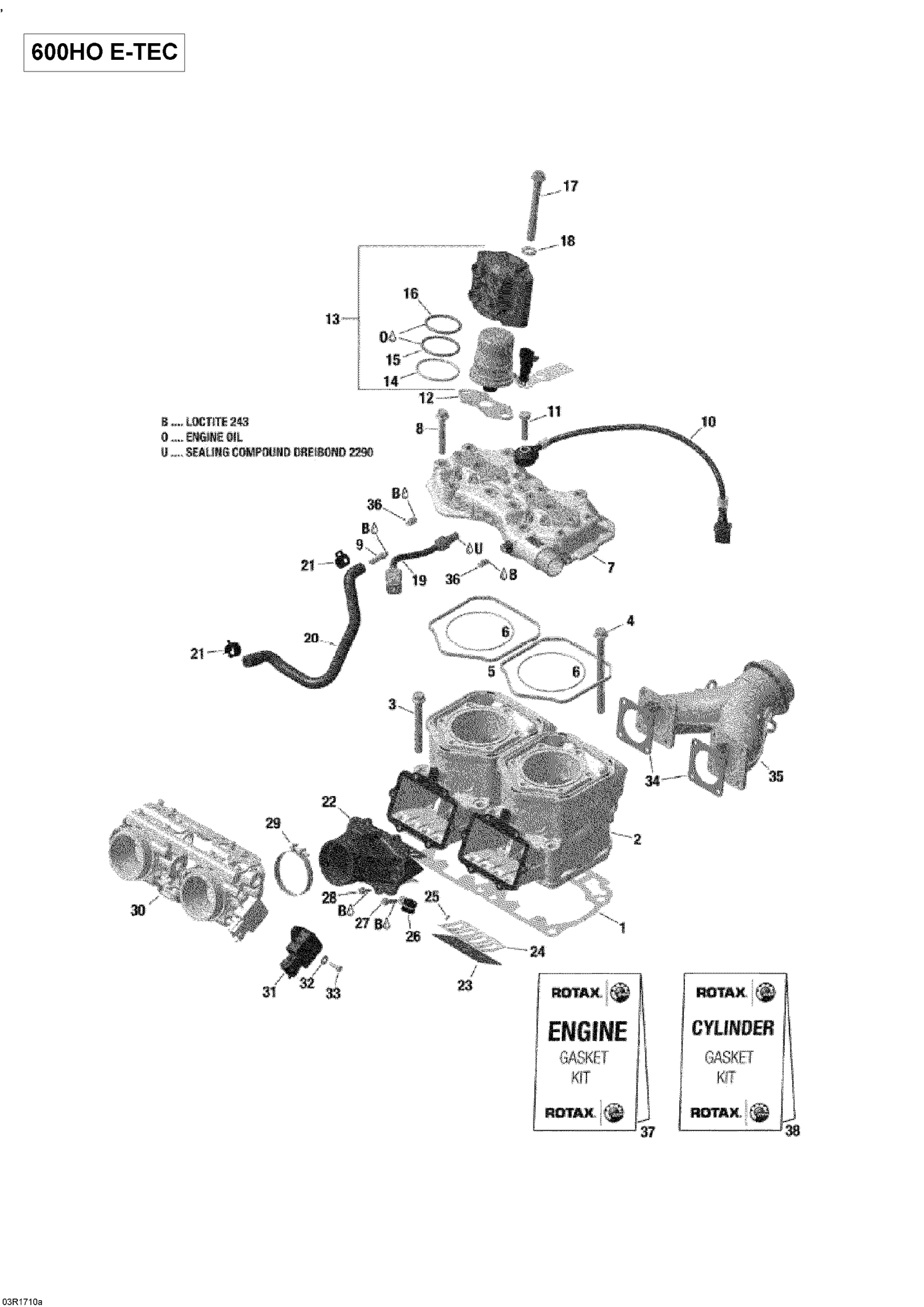 01- Cylinder And Cylinder Head - 600HO E-TEC