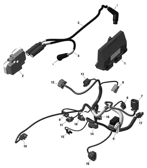 01- Rotax - Engine Harness And Electronic Module - 339 Schematic