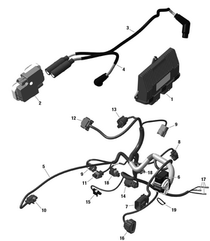 01- Rotax - Engine Harness And Electronic Module Schematic