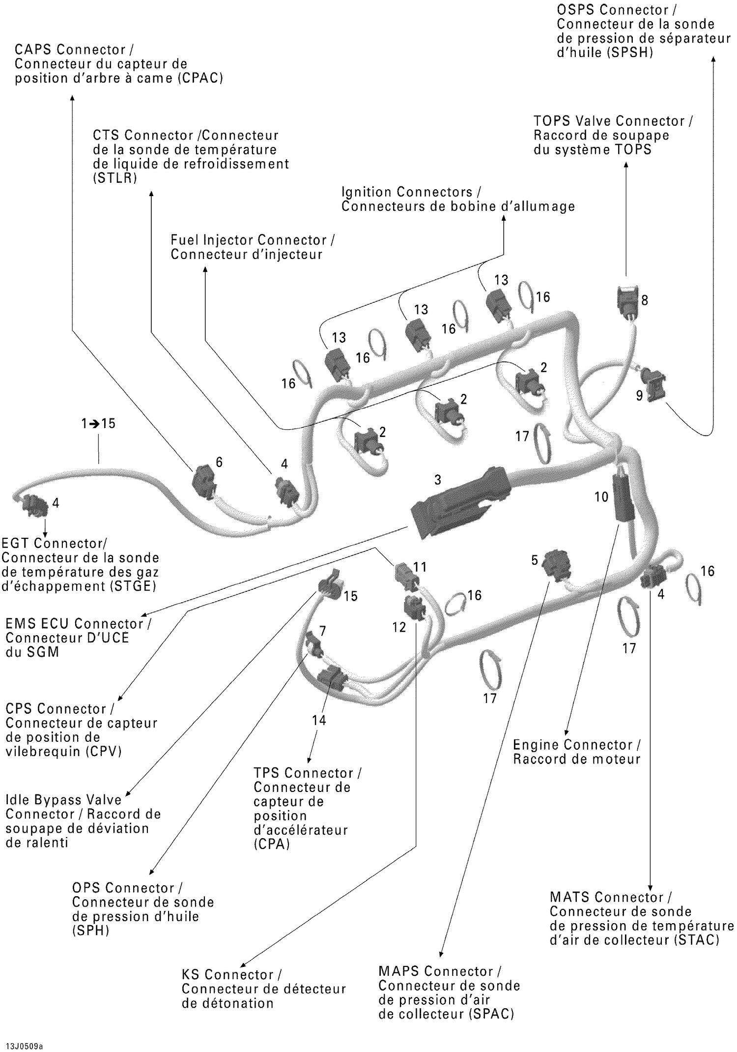 10- Engine Harness Rotax