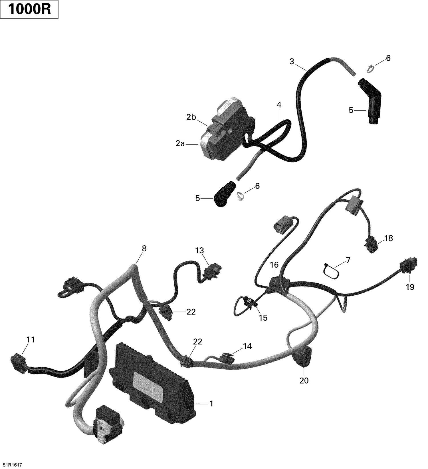 10- Engine Harness and Electronic Module Maverick MAX - 1000R