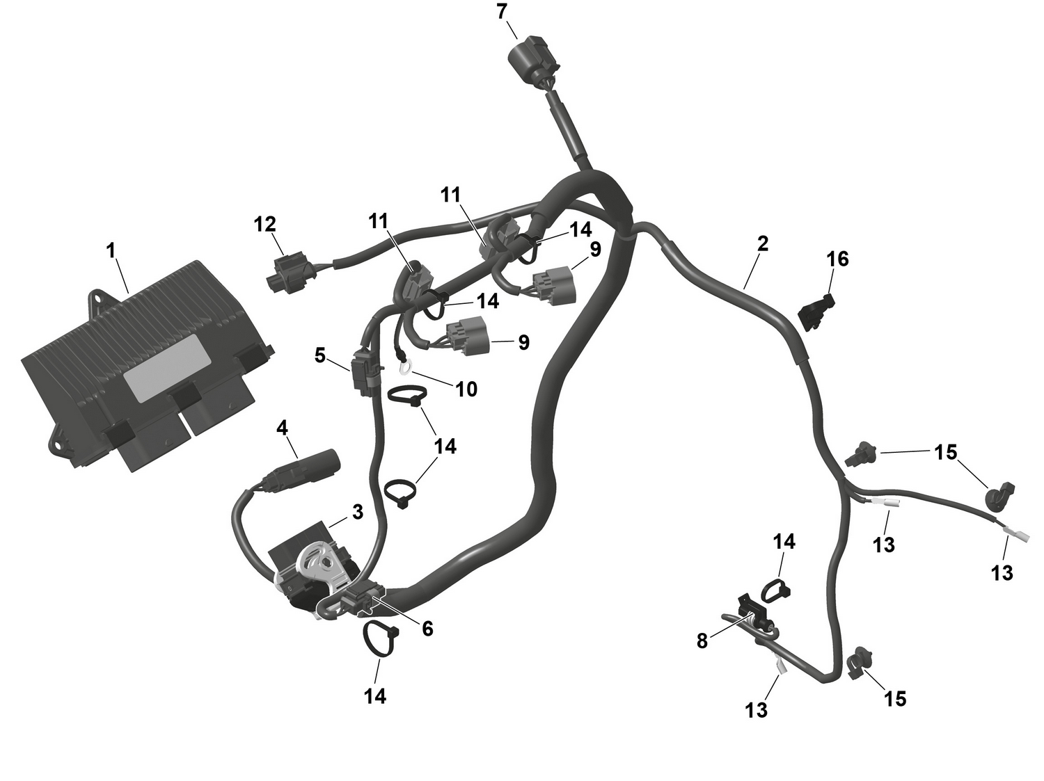 01- ROTAX - Engine Harness And Electronic Module