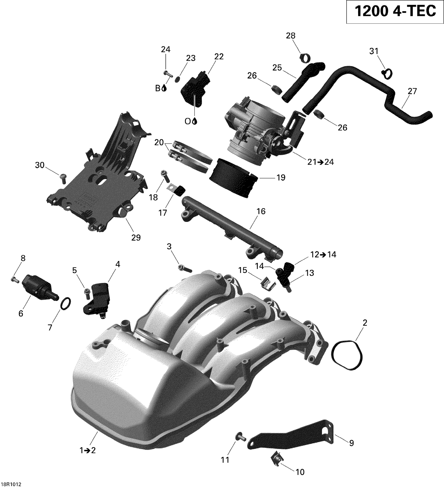02- Air Intake Manifold And Throttle Body
