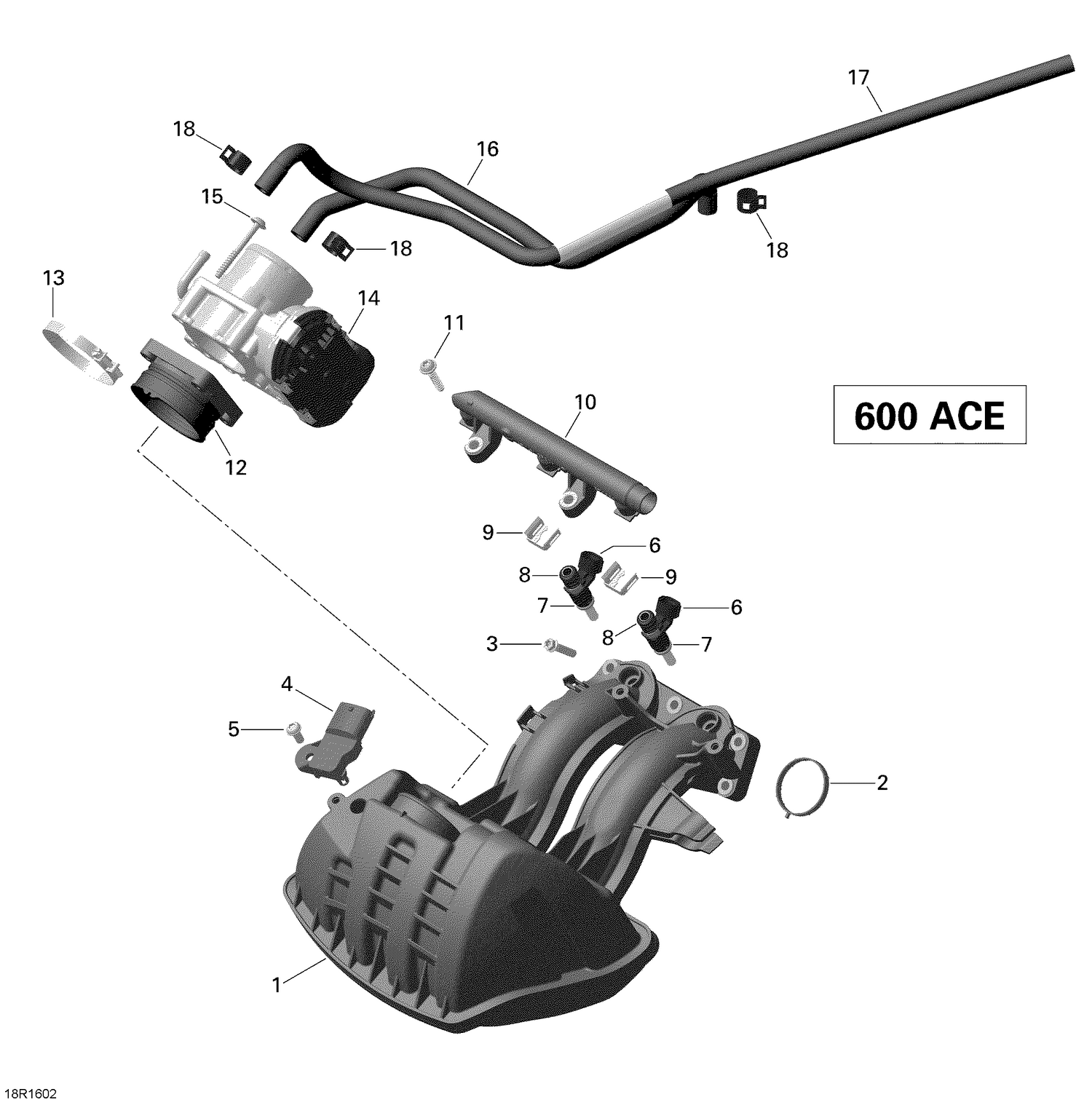 02- Air Intake Manifold and Throttle Body - 600 ACE