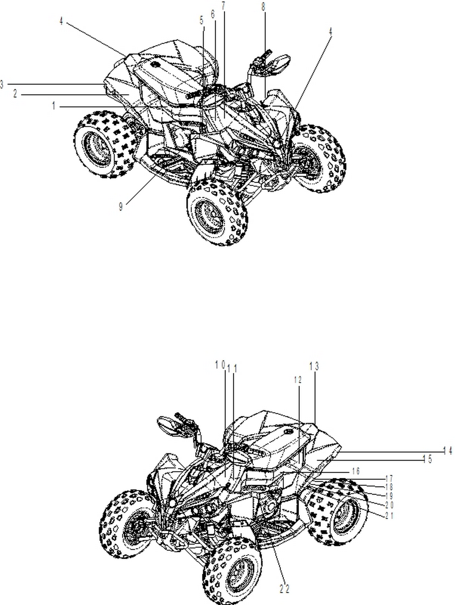 07- Body - Decal XXC