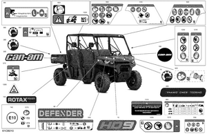 07- Body - Decals Schematic