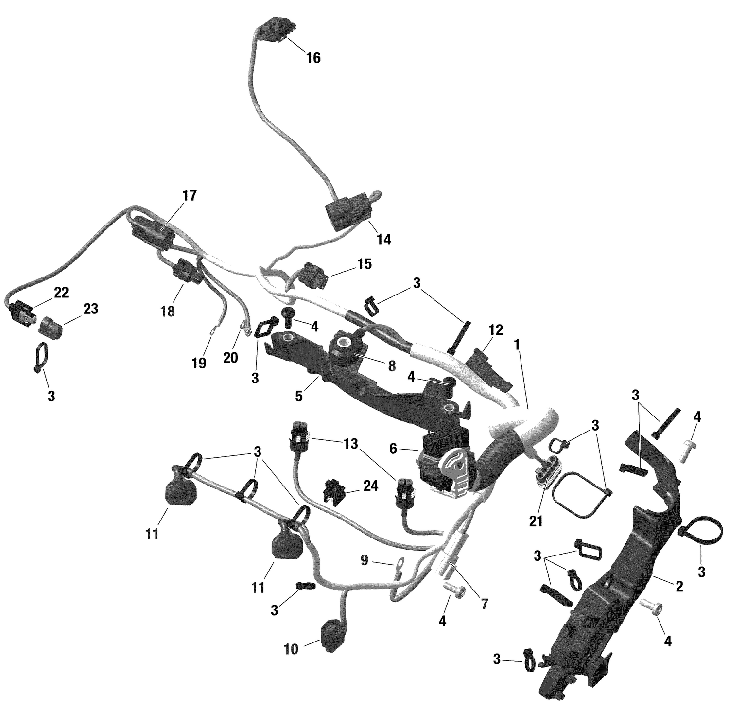 01- Rotax - Engine Harness - Shot