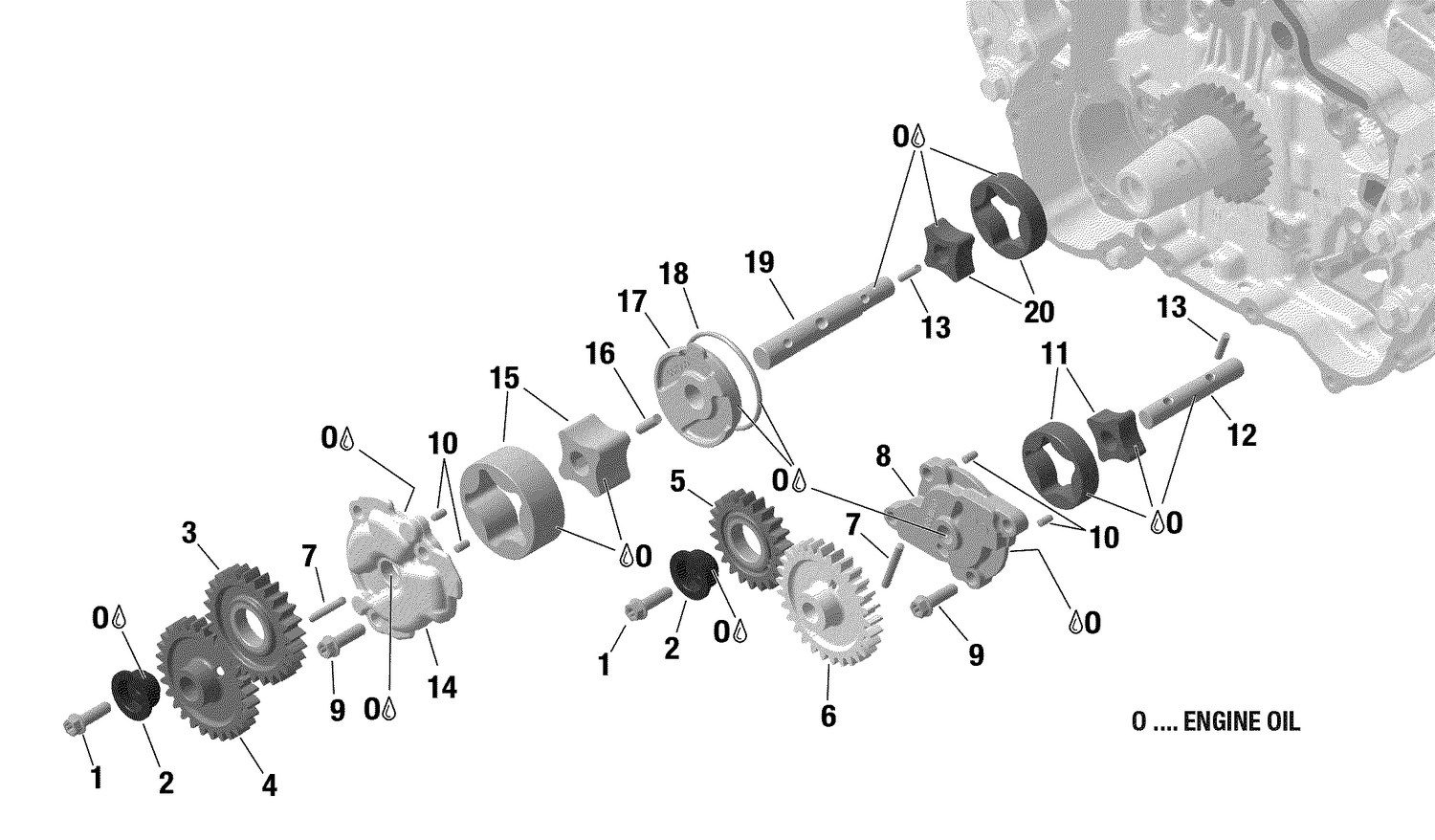 01- Rotax - Oil Pump - 900 ACE