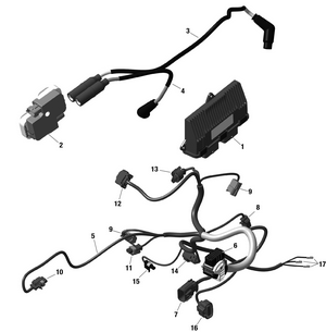 01- Rotax - Engine Harness And Electronic Module Schematic