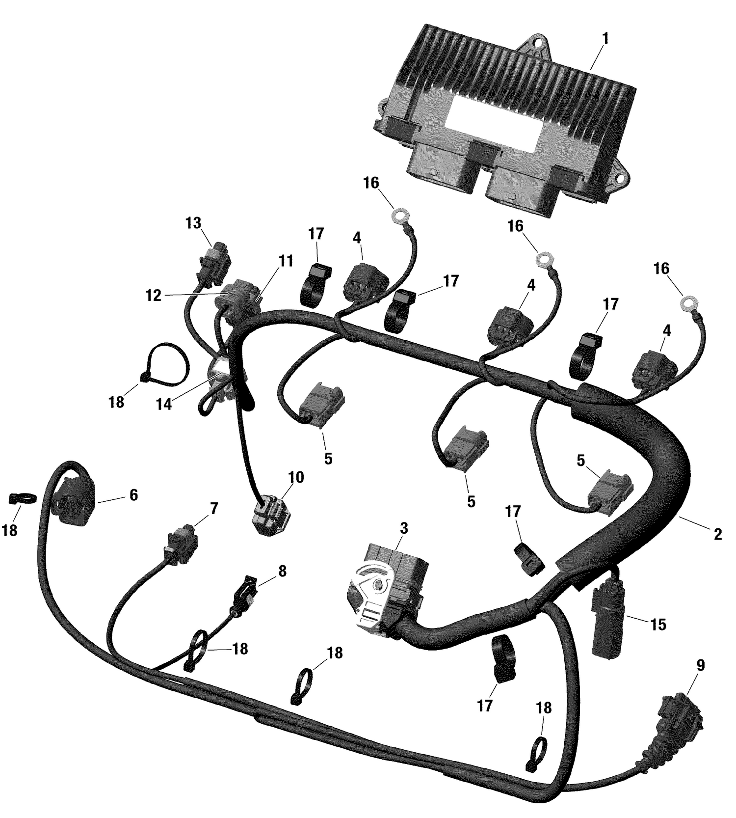 10- Engine Harness And Electronic Module