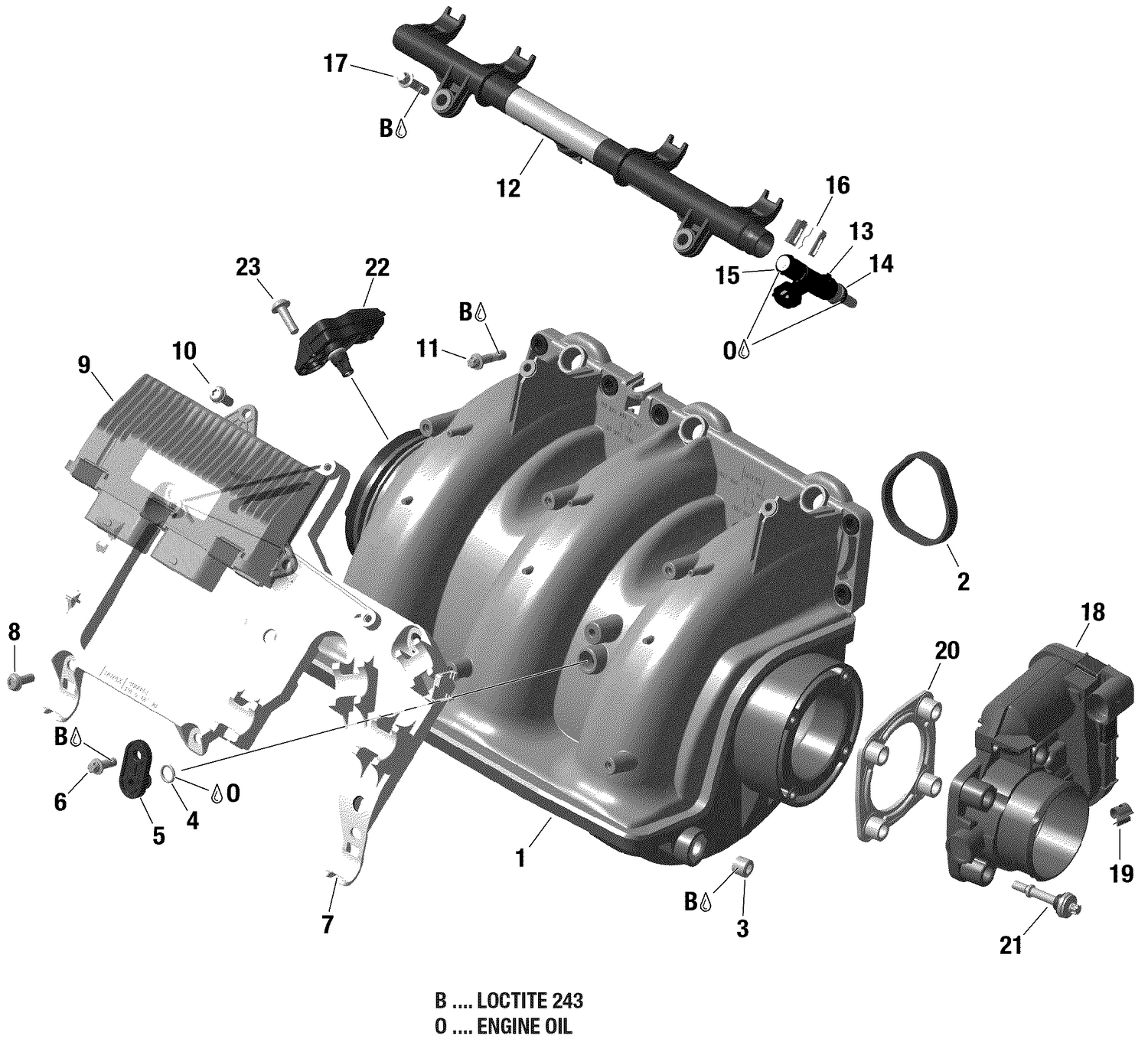 02- Air Intake Manifold And Throttle Body