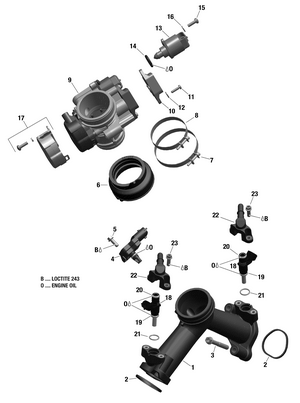 01- Rotax - Air Intake Manifold And Throttle Body - 211 Schematic
