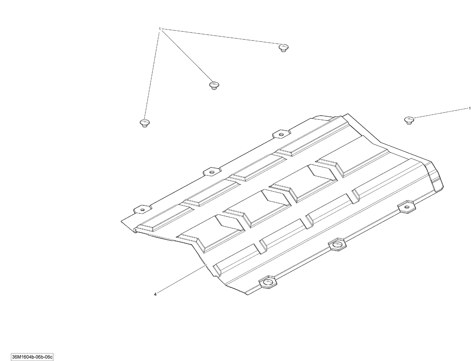 09- Luggage Rack - 900 ACE, Package Blizzard