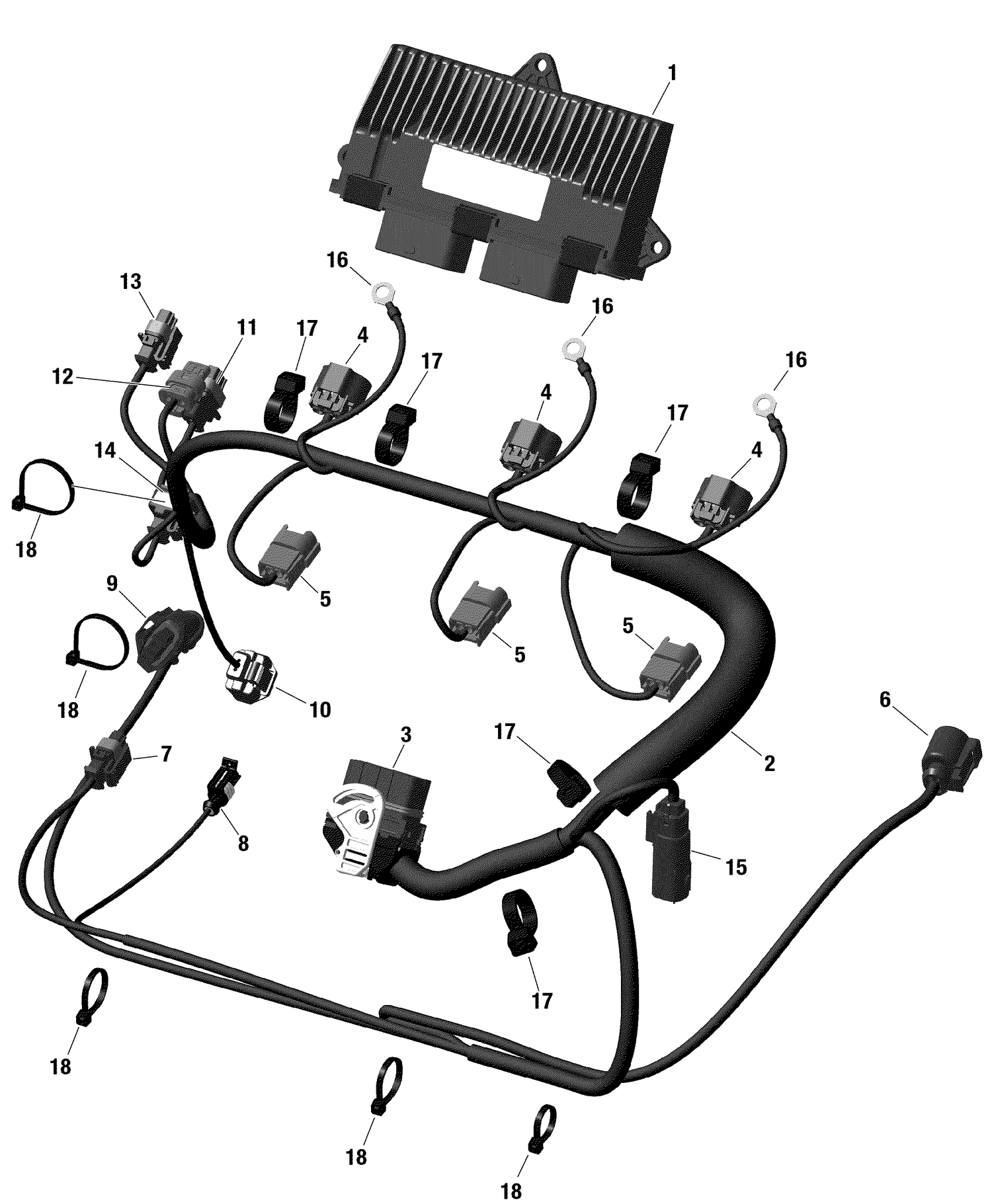 10- Engine Harness And Electronic Module 155HP Non Rental