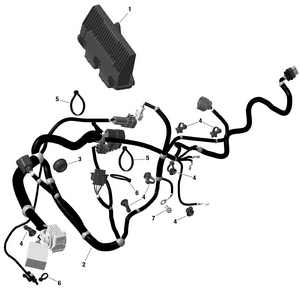 01- Rotax - Engine Harness And Electronic Module Schematic