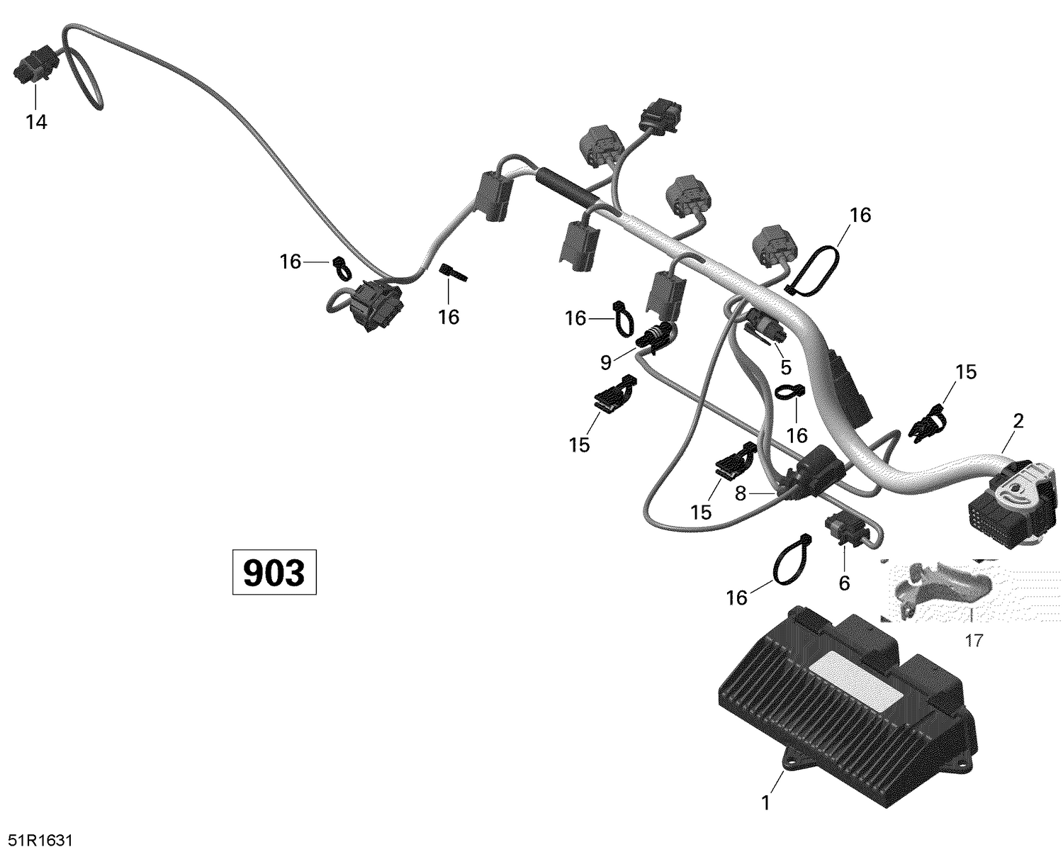 10- Engine Harness and Electronic Module - 900 ACE