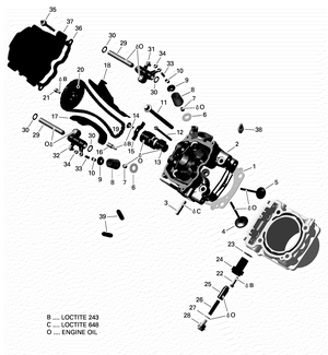 01- Rotax - Cylinder Head Schematic