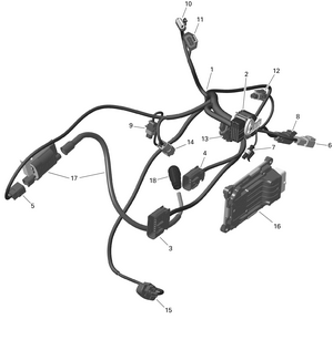 01- Rotax - Engine Harness And Electronic Module - 450 - 6x6 - North America Schematic