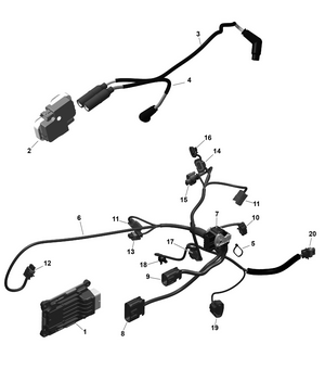 01- Rotax - Engine Harness And Electronic Module Schematic