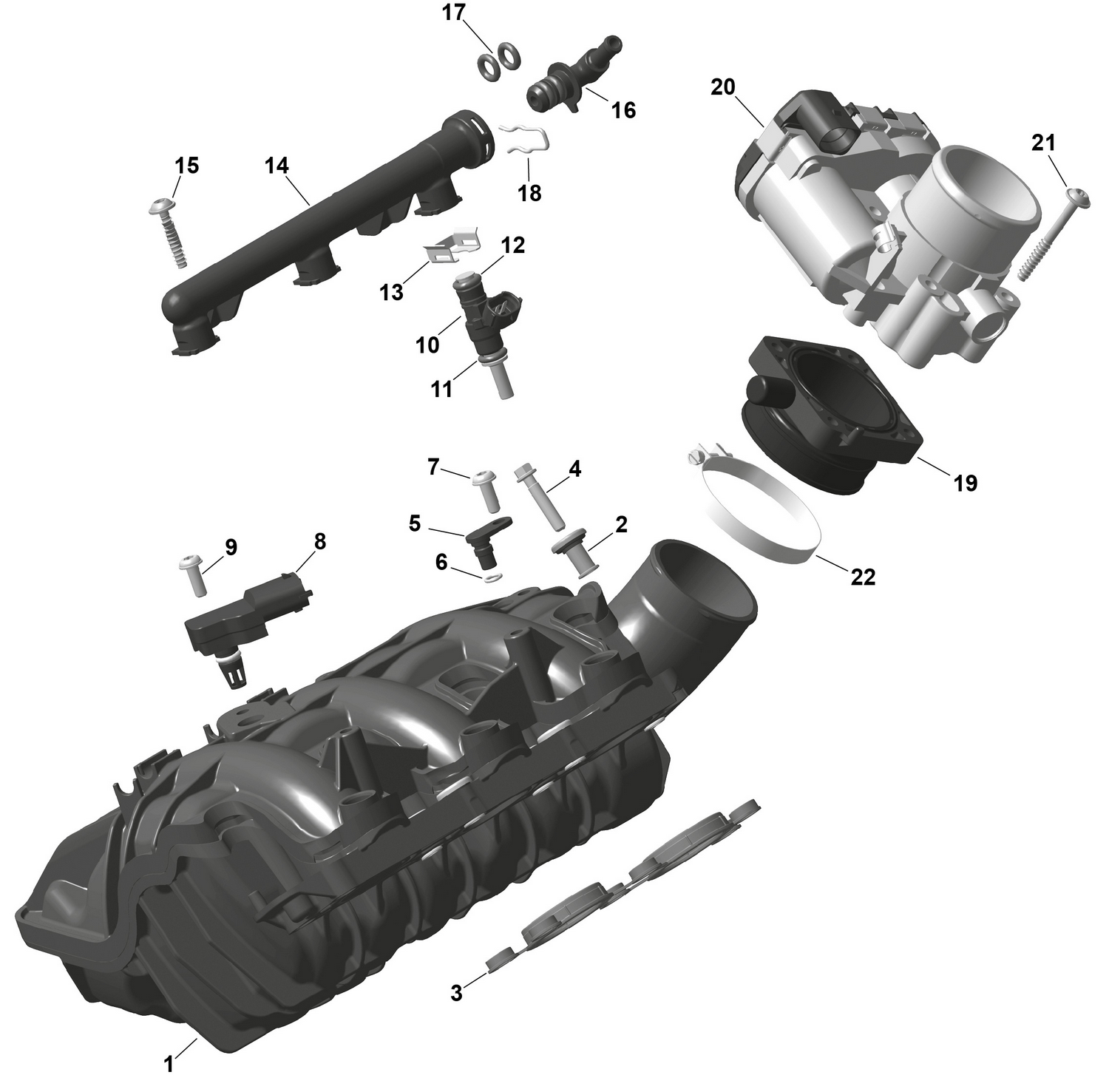 01- ROTAX - Air Intake Manifold And Throttle Body