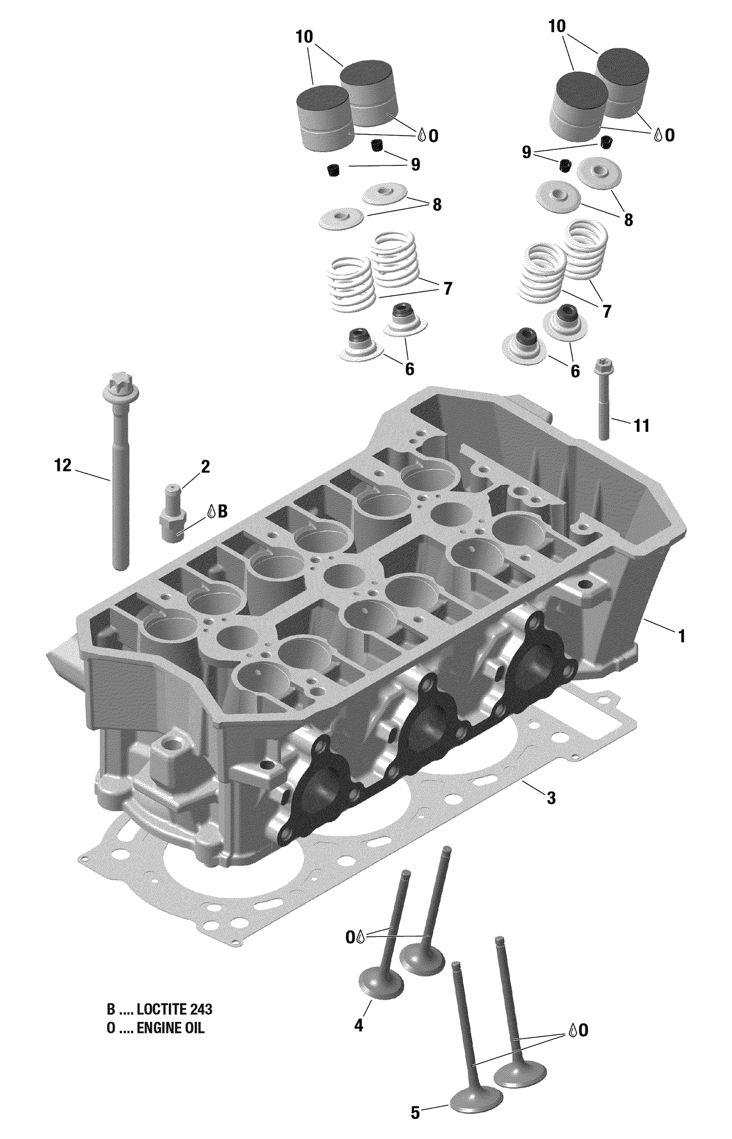 01- Rotax - Cylinder Head - 900 ACE