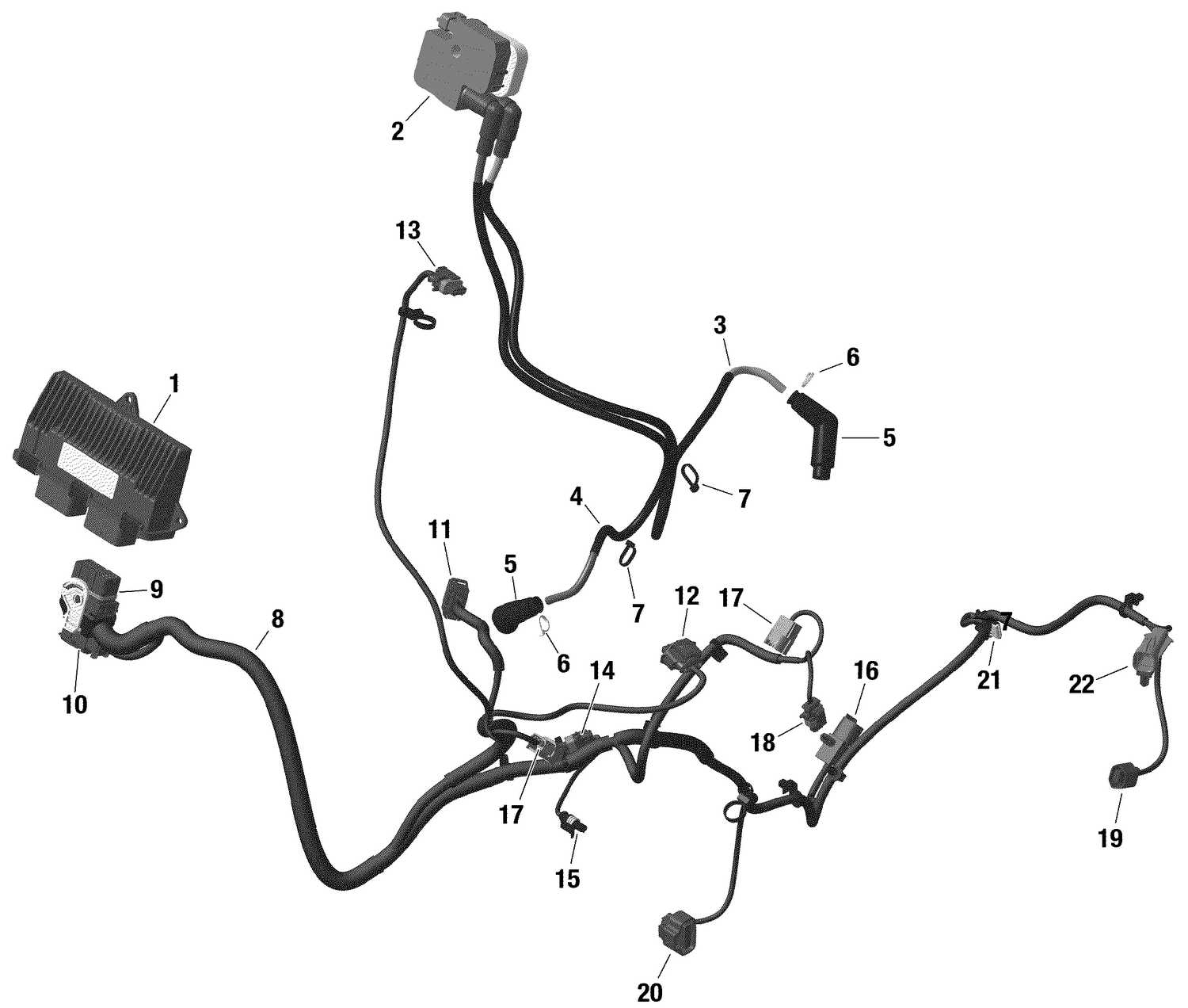 10- Electric - Engine Harness And Electronic Module - 1010 TSS