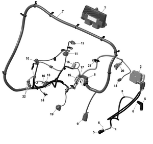 01- Rotax - Engine Harness And Electronic Module Schematic