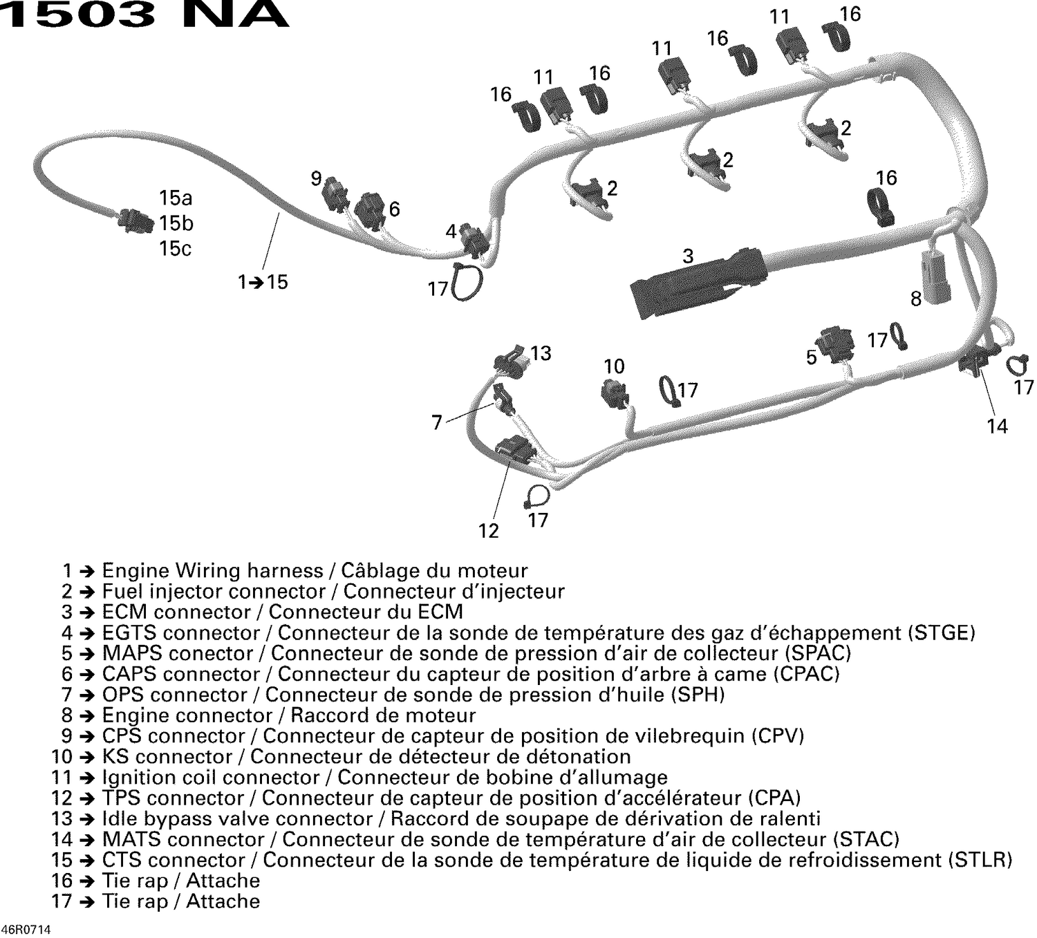 10- Engine Harness