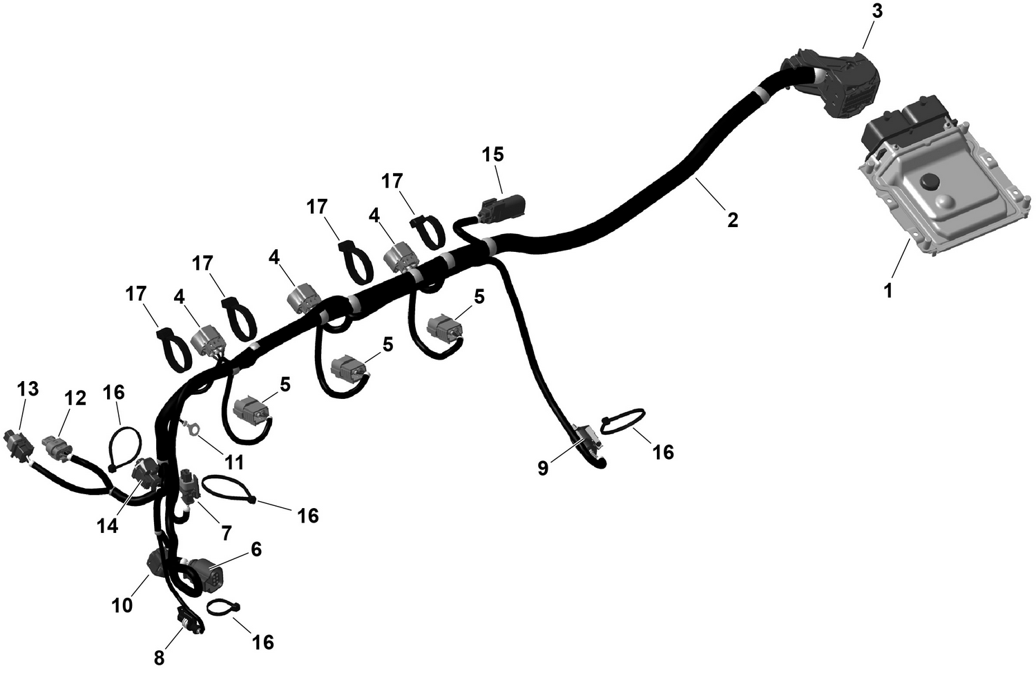 01- ROTAX - Engine Harness And Electronic Module